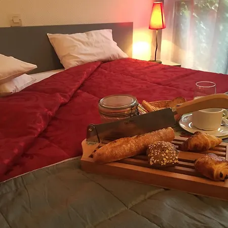 Le Pavillon Hotel Cours (Rhone)