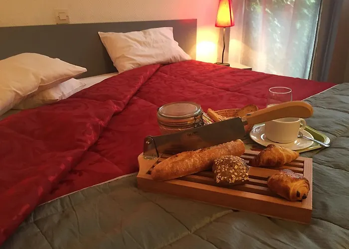 Le Pavillon Hotel Cours (Rhone)